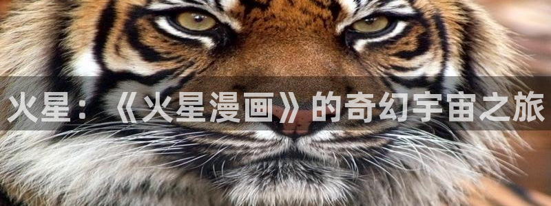漫蛙2下载正版