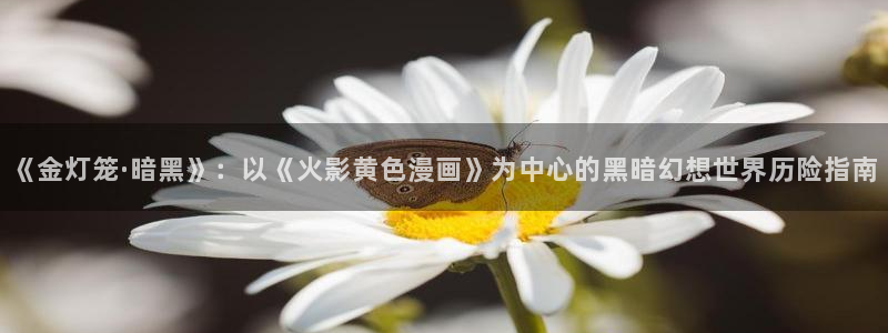 漫蛙非大陆地区