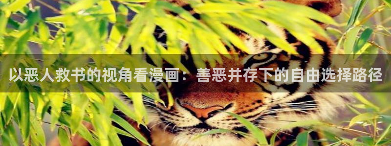 漫蛙漫画最新网址