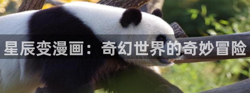 漫蛙官方下载正版