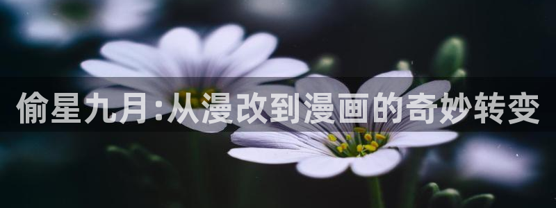 漫蛙网站在线观看