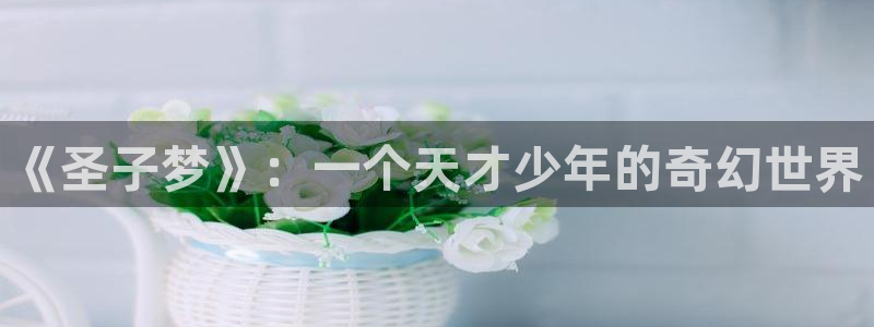漫蛙看不了