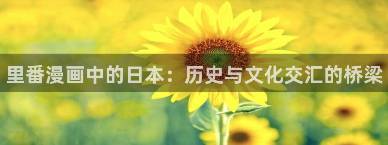 漫蛙2024官网入口
