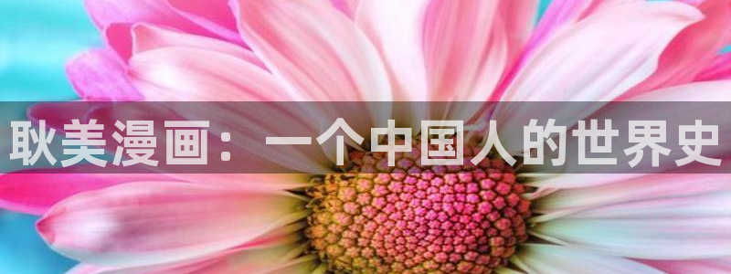 漫蛙漫画10版本