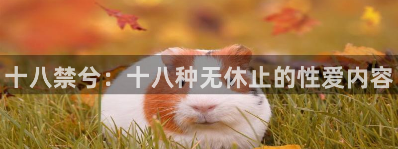 漫蛙里